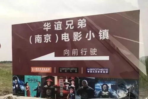 请回答,影视公司2019丨年度9大关键词