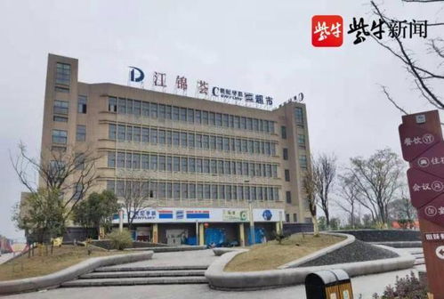 南京浦口桥林城管开展违规高空户外广告整治